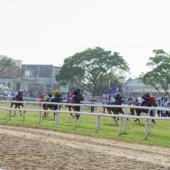 Horse Racing