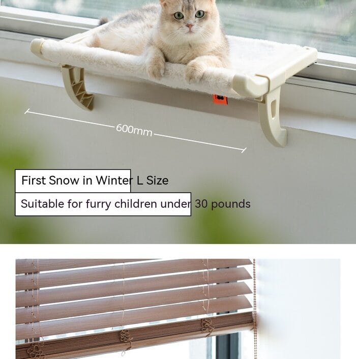 cat hanging hammock