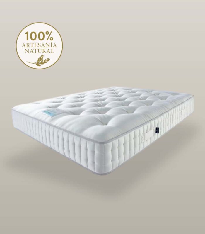 ECLIPSE 10500