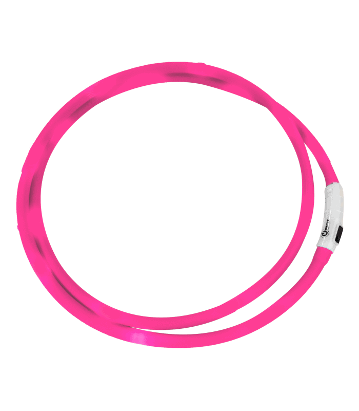 Collier LED 3 Collier LED – Image 3