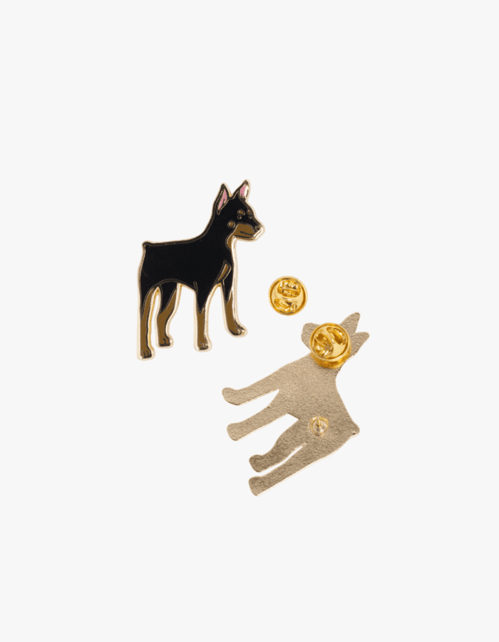 Pin "Ca rater"