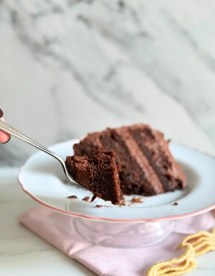 Delicious Matilda's Cake - Fudgy & Moist Chocolate Cake 2 slice of matildas cake, hand holding a fork with some of the cake, under a towel