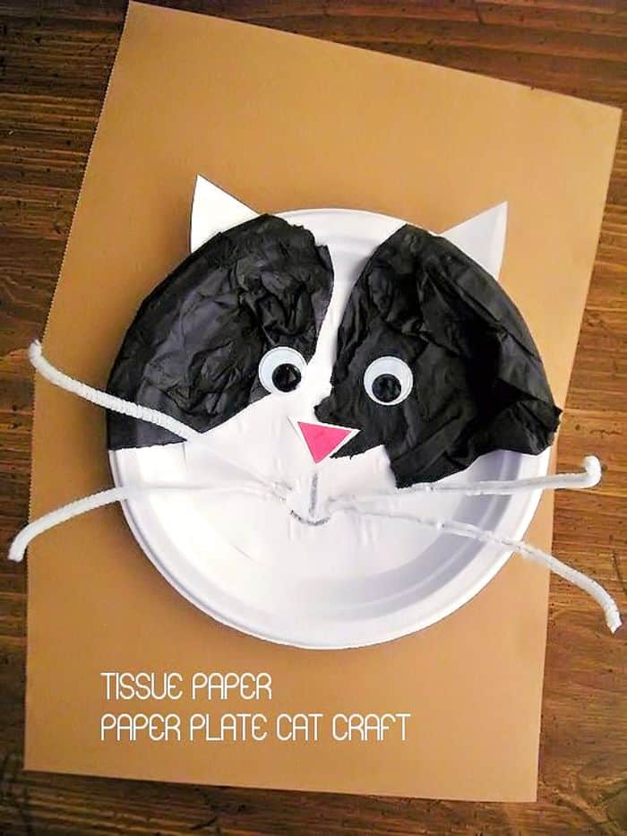 black and white paper plate cat