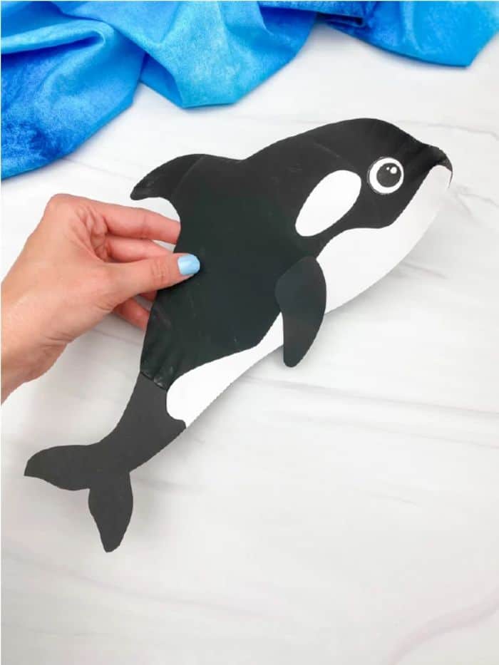 orca killer whale craft