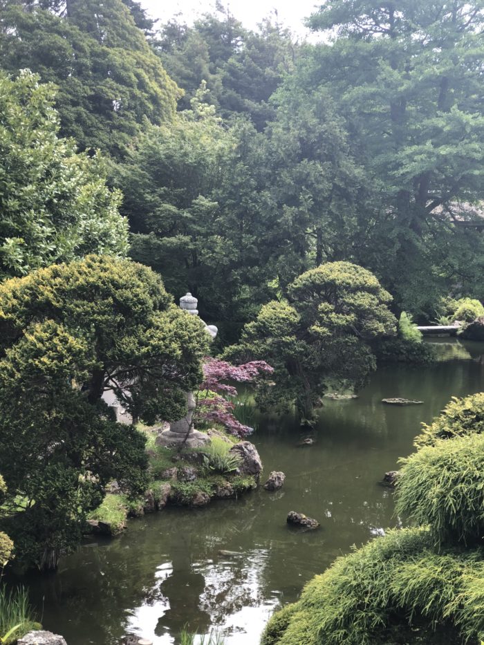 Must Visit Places: Japanese Tea Gardens, San Francisco