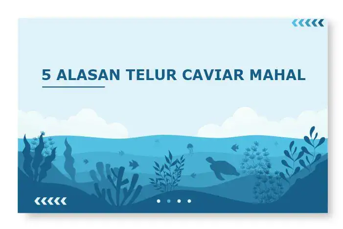 kenapa telur ikan caviar mahal