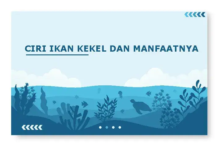 apa itu ikan kekel