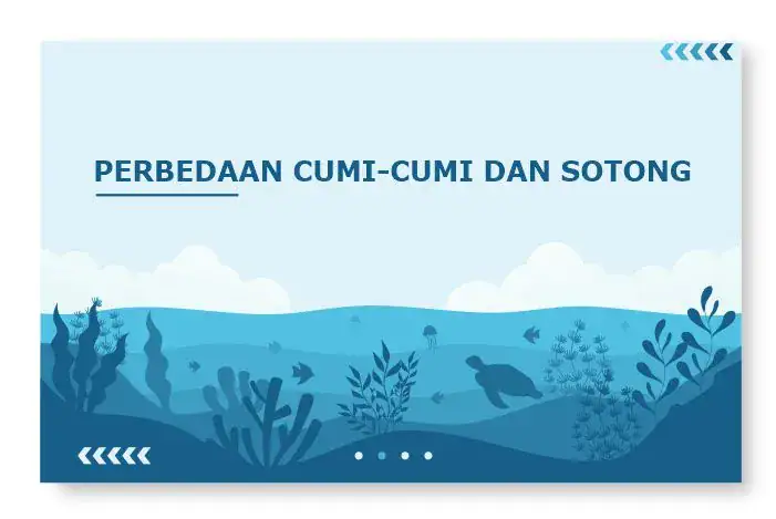 perbedaan cumi dan sotong