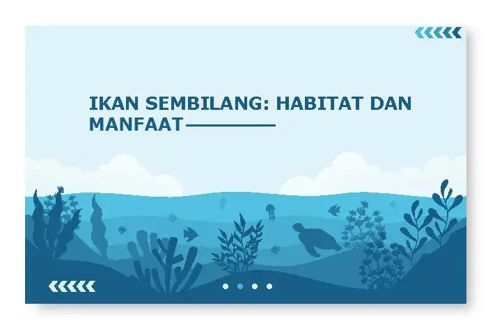 Habitat ikan sembilang