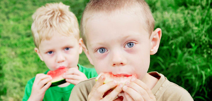 Photo credit: Megan Byrd (Creative Commons)