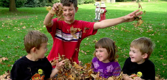 Photo credit: WELSnet (Creative Commons)