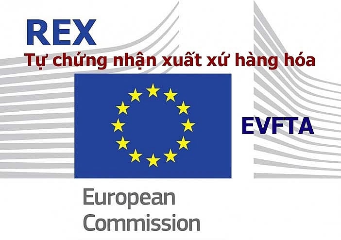 Hướng dẫn chuẩn bị hồ sơ đăng ký mã số rex