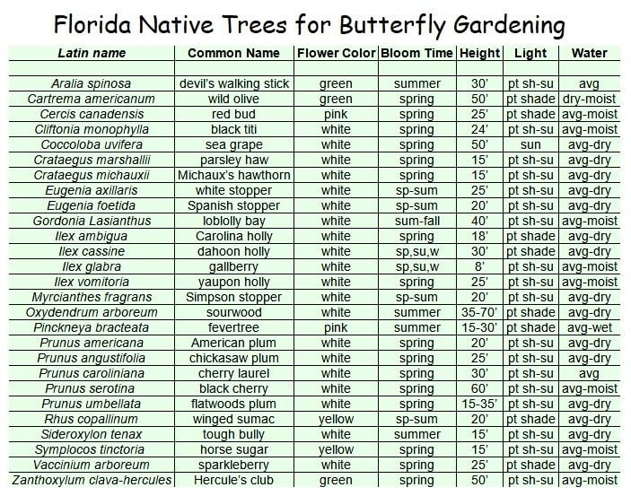 chart of native Florida trees for butterfly gardening