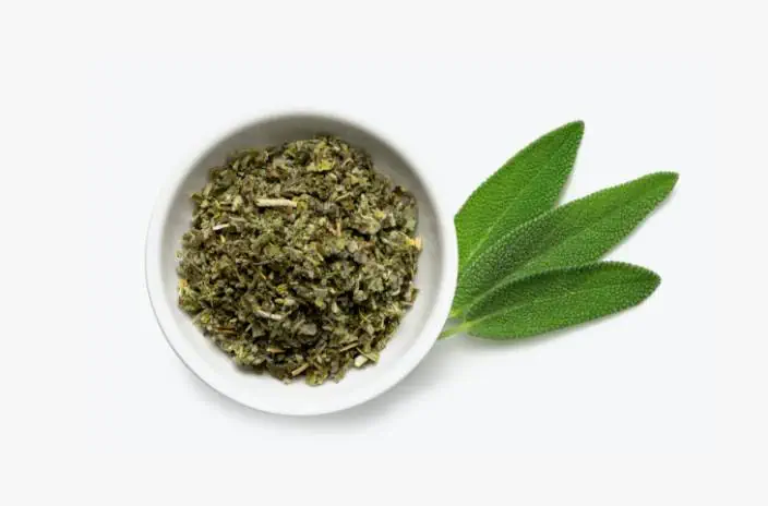 Green Tea Extract