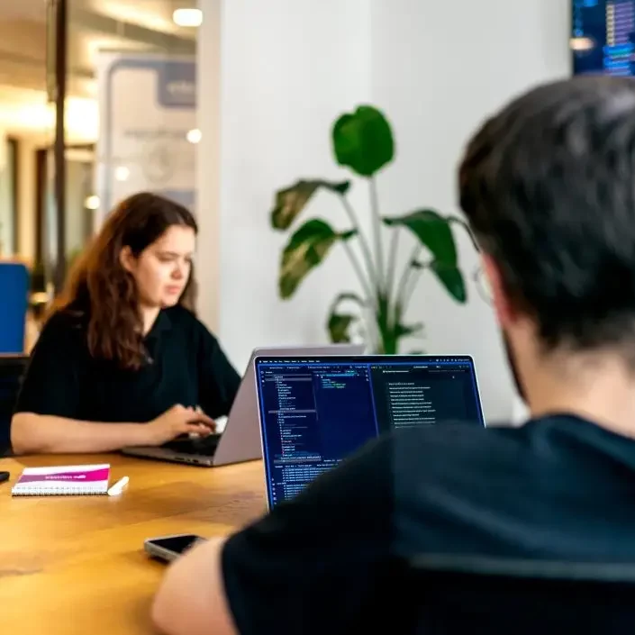 Zwei Personen arbeiten in einem modernen Büro an Laptops. Im Vordergrund ist ein Mann von hinten zu sehen, dessen Laptop Code auf dem Bildschirm anzeigt. Im Hintergrund sitzt eine Frau, ebenfalls an einem Laptop, neben einer großen Zimmerpflanze. An der Wand hängt ein großer Bildschirm mit technischen Inhalten.