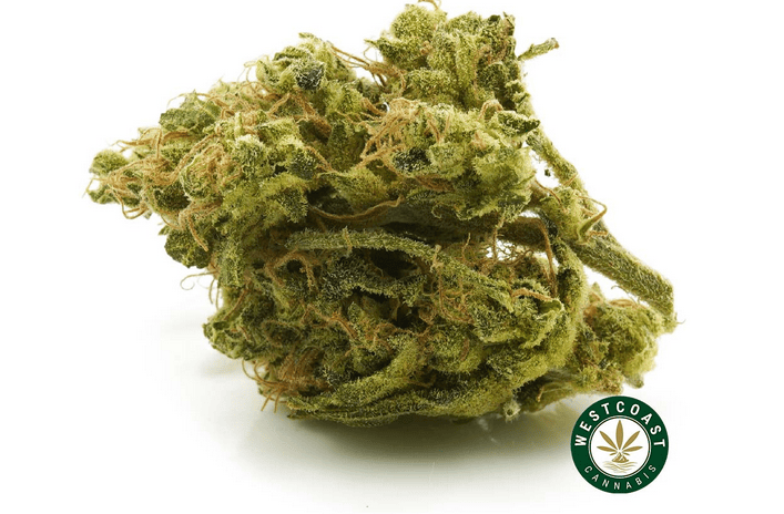 Kiwi Kush- Citrusy Flavours on a Relaxing Weekend