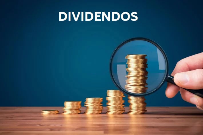 GERDAU PAGA DIVIDENDOS QUANTAS VEZES POR ANO: O QUE SABER