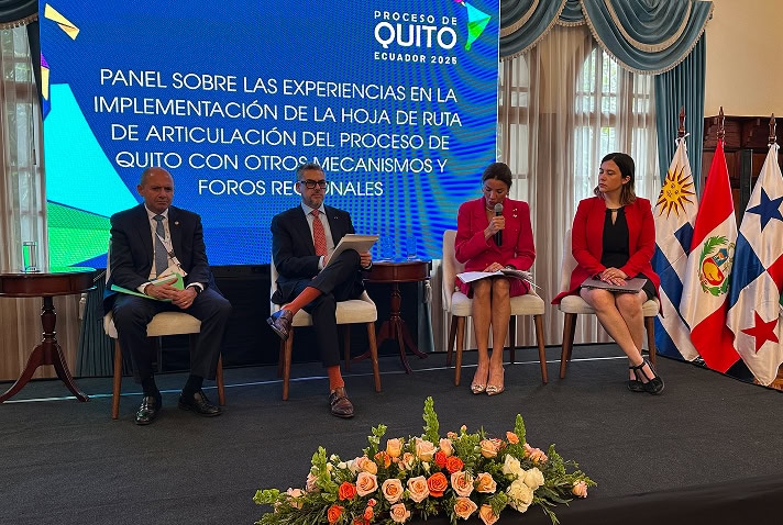 Consolidación institucional
