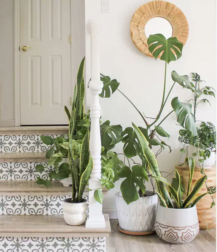 18-1 18-1 entryway decorating ideas 29 Entryway Decorating Ideas That Make For A Stunning First Impression 18 1
