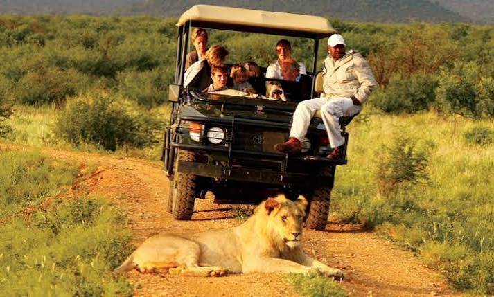 African Safari Tours in Uganda
