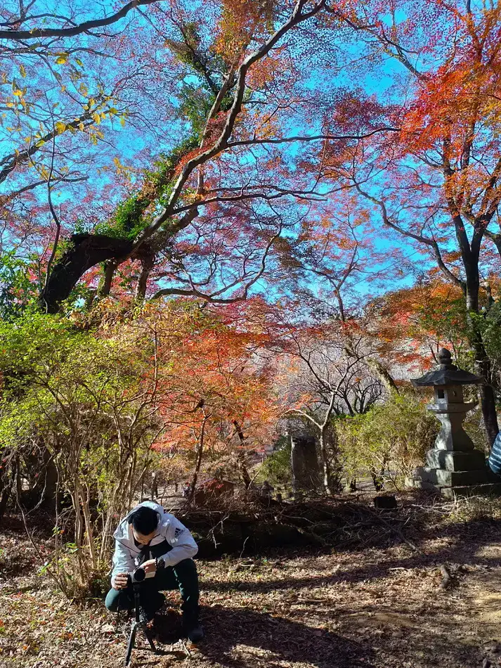 秋月城跡 紅葉
