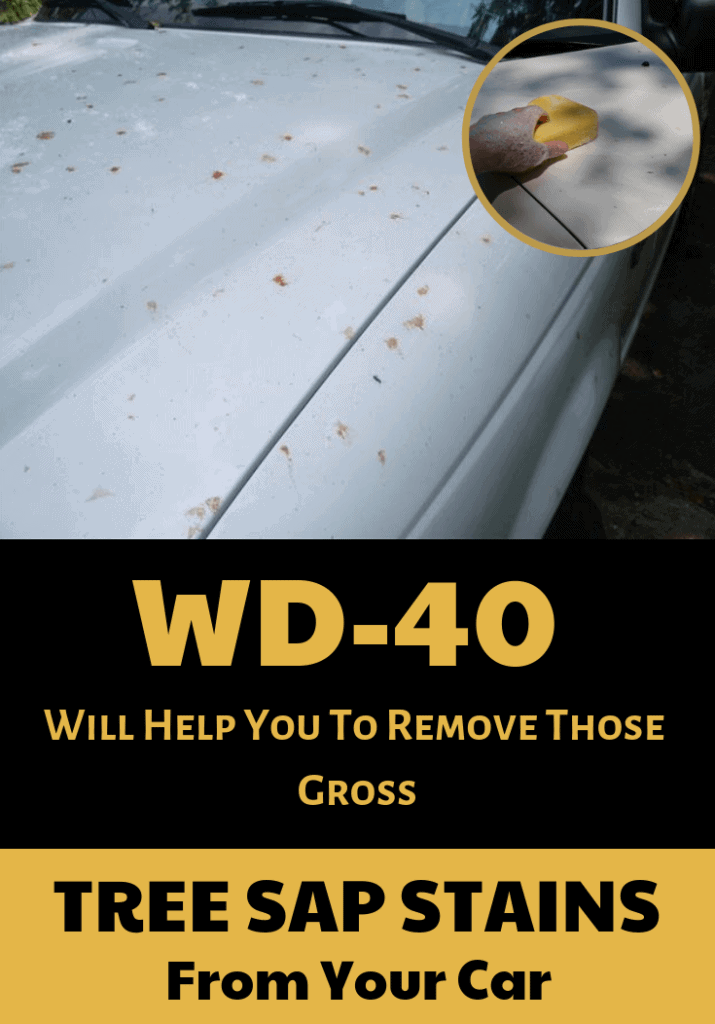 Summer Car Care - ScrubaDub Car Wash