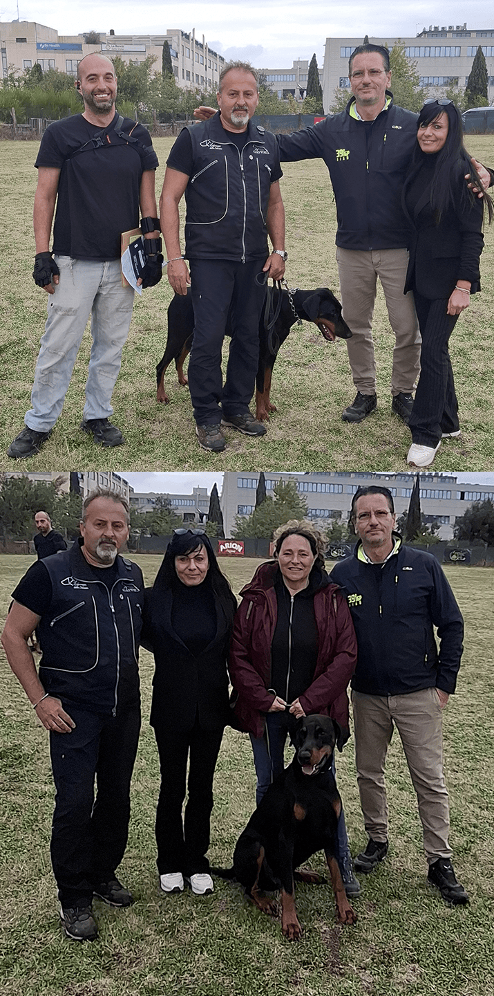 Dobermann Gatsby Drago della Selviata Ibiza della Selviata