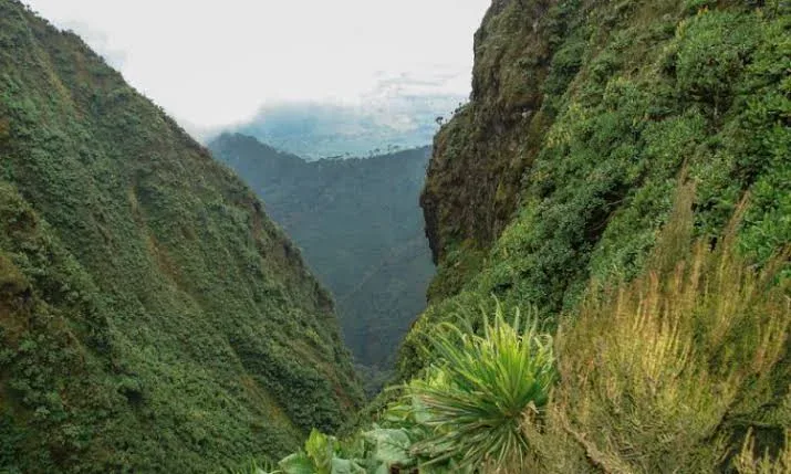Rwenzori mountan water falls
