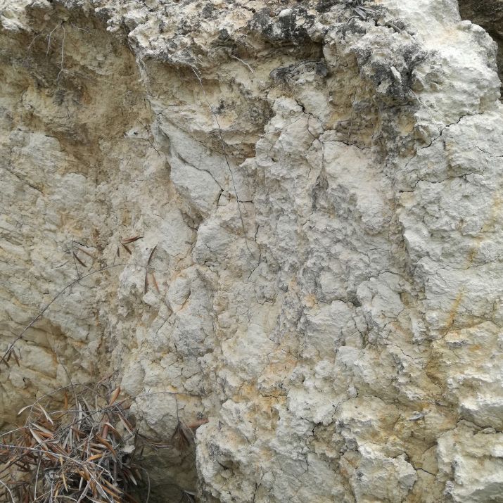 Albarizas