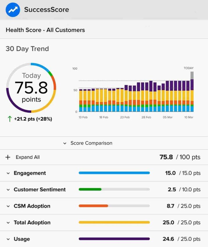 customer health score