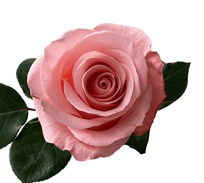 Be Sweet