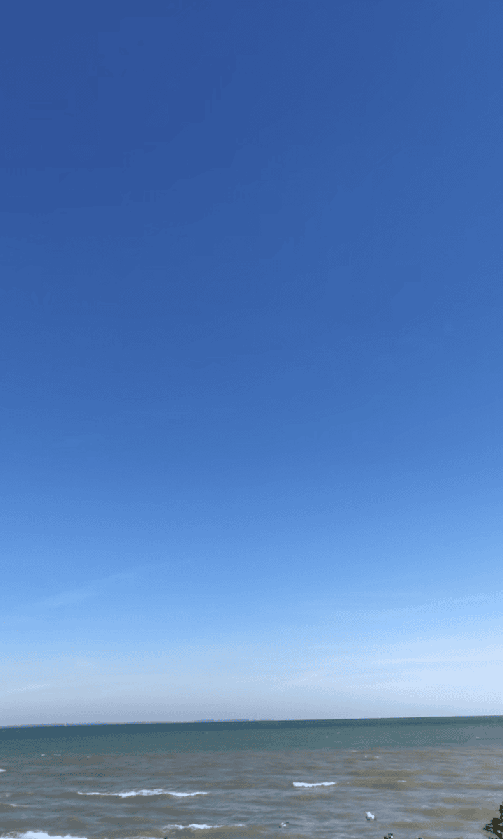 Snapshot 06 05 2026 1543