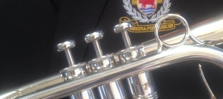 Remembrance Sunday Brass Band Poppy