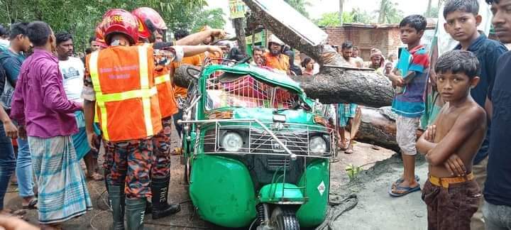 নবীনগরে গাছ পড়ে অটোরিকশা চালক নিহত