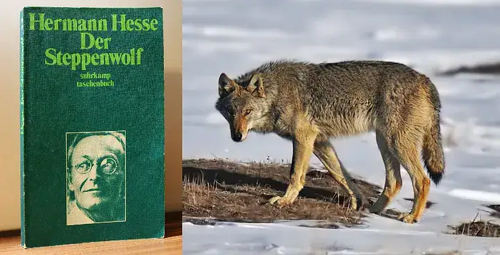 Steppenwolf
