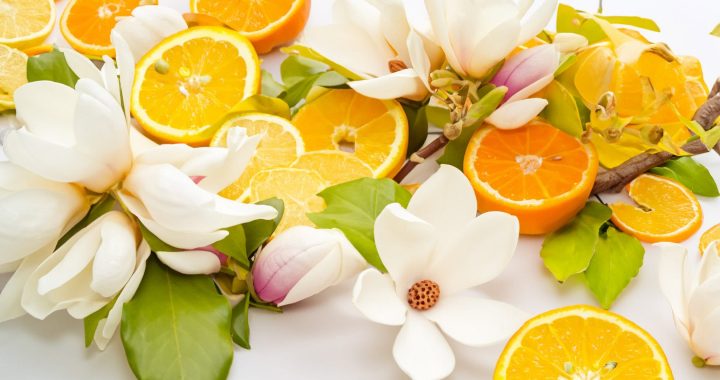 perfume trends for spring 2024 a fragrant journey through innovation and tradition