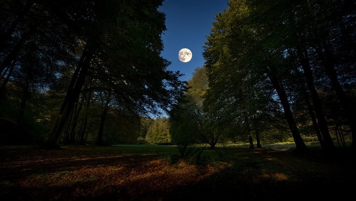 Full Moon in Taurus Rituals to End the Year Strong