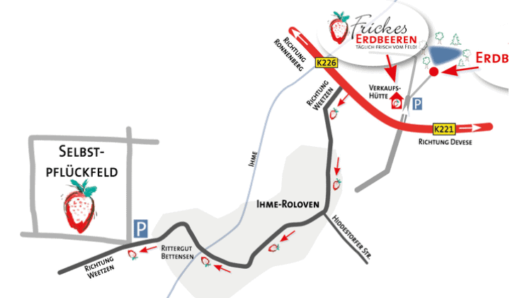 Erdberen-zum-selber-pflucken