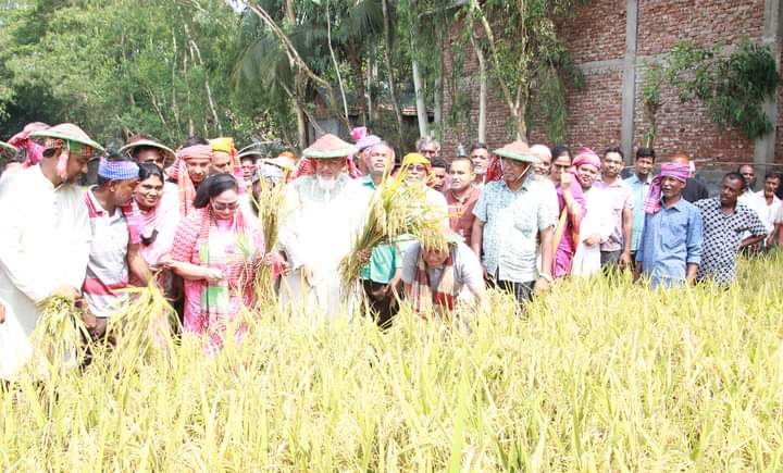 জামালপুরে কৃষকের ধান কেটে দিলেন ধর্ম প্রতিমন্ত্রী