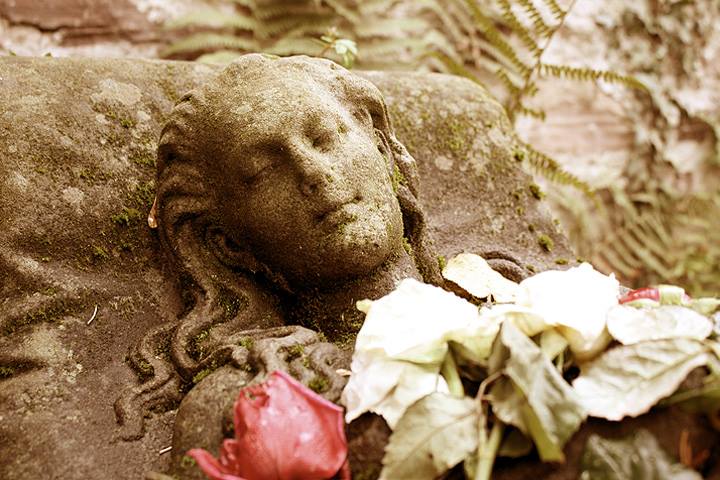 Das Blumengrab in Freiburg. Täglich liegen hier frische Blumen. Ein Spuk oder paranormales Phänomen?
