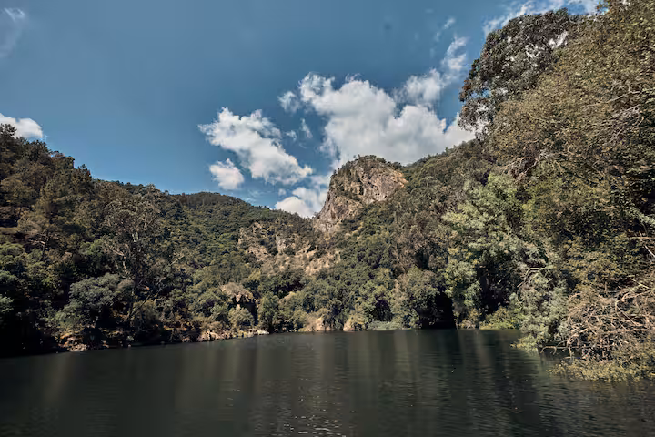 pincelo Nature