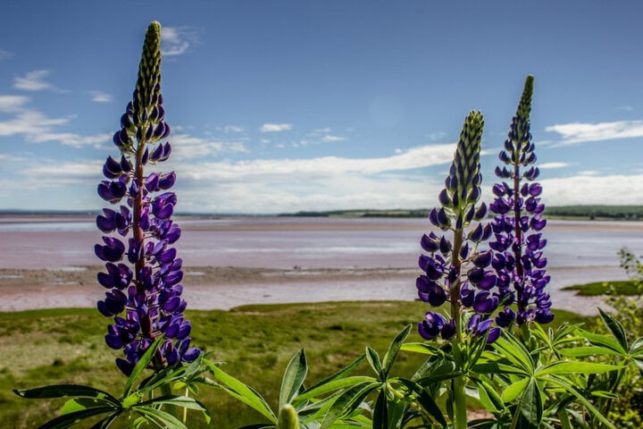 Tidal bore rafting in Nova Scotia, Canada
