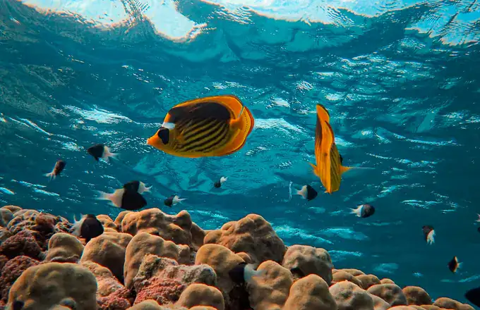 Hurghada Red Sea