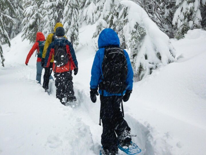 Winter Fun & Recreation in Viroqua, WI