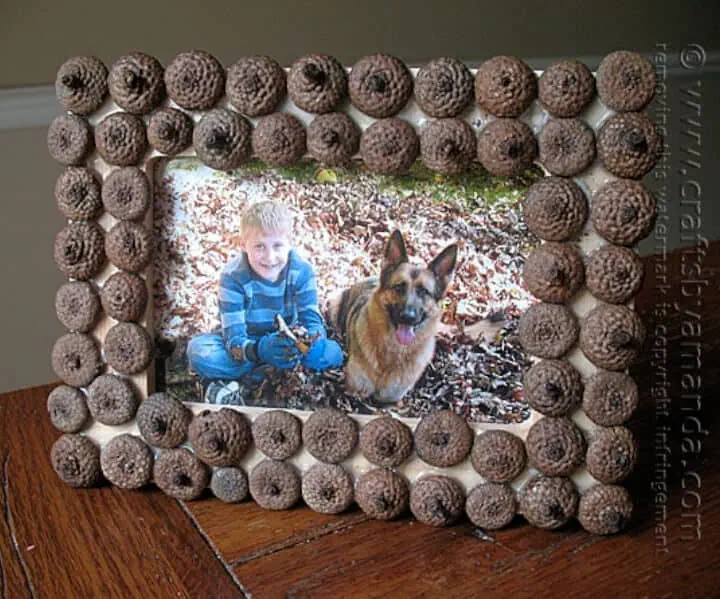 DIY frame made with acorn, framing picture of child and dog.