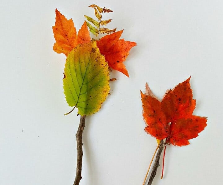 DIY wands made with natural elements for fall season