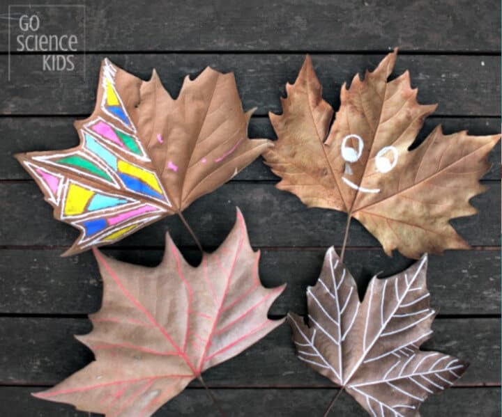 leaf themed craft panting idea for kids