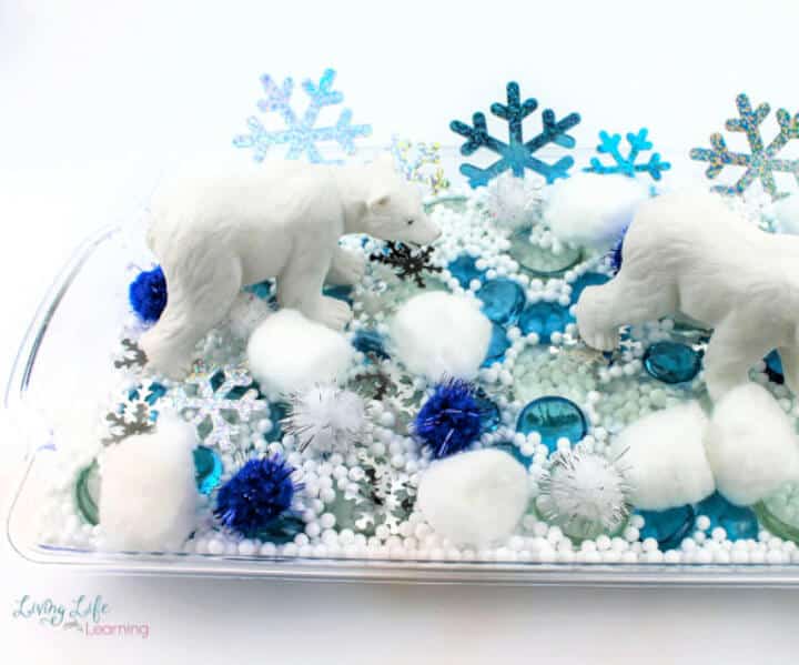 polar bear themed sensory bin