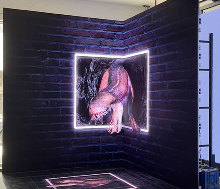 XR LED Display Screens
