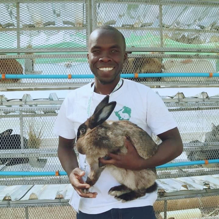 Tatenda C Ukama Rabbit producer, Tatendaishe C. Ukama, based in Chirumhanzu, Midlands, echoes these sentiments when it comes to demand. “The market is there, and the biggest market so far is Raymeg Abattoir, Supermarket and distribution centre, and there are many more outlets besides”.
